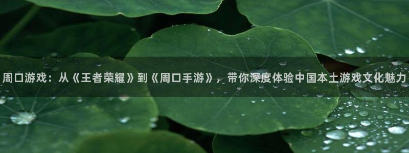 摩根娱乐云挂机：周口游戏：从《王者荣耀》到《周口手游》，带你