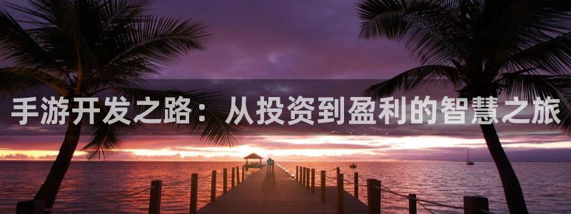 摩根娱乐登陆：手游开发之路：从投资到盈利的智慧之旅