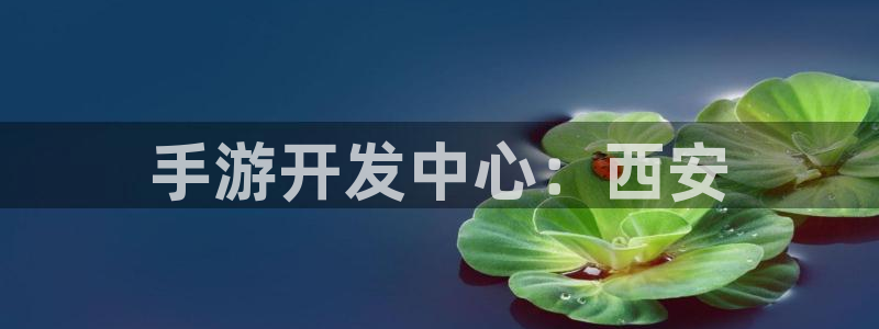 摩根娱乐是什么：手游开发中心：西安