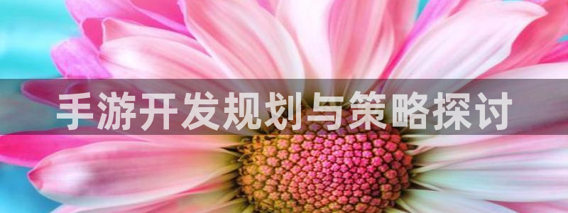摩根娱乐网址：手游开发规划与策略探讨