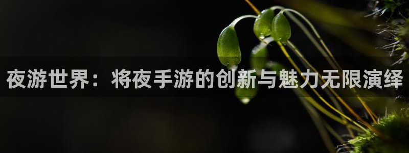 摩根娱乐是正规公司吗知乎：夜游世界：将夜手游的创新与魅力无限