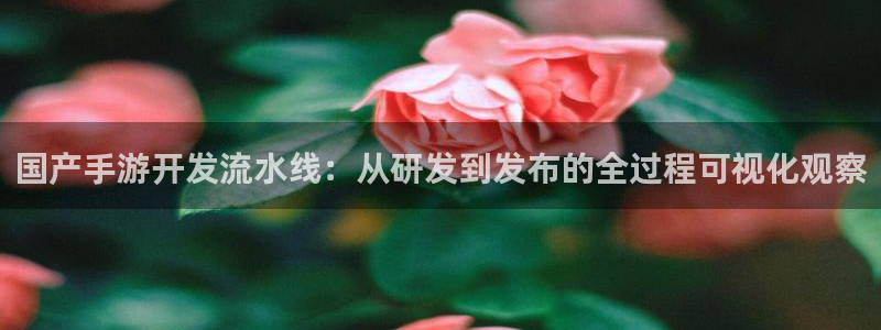 摩根娱乐官网入口网址是多少：国产手游开发流水线：从研发到发布