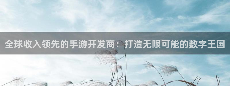 摩根娱乐官网入口下载：全球收入领先的手游开发商：打造无限可能
