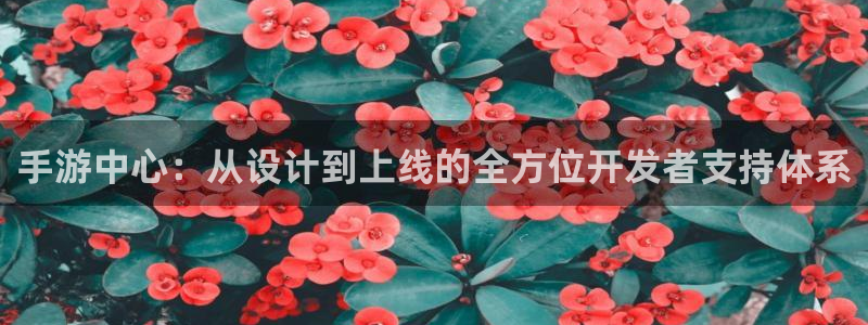 摩根娱乐娱乐官网入口在线观看：手游中心：从设计到上线的全方位