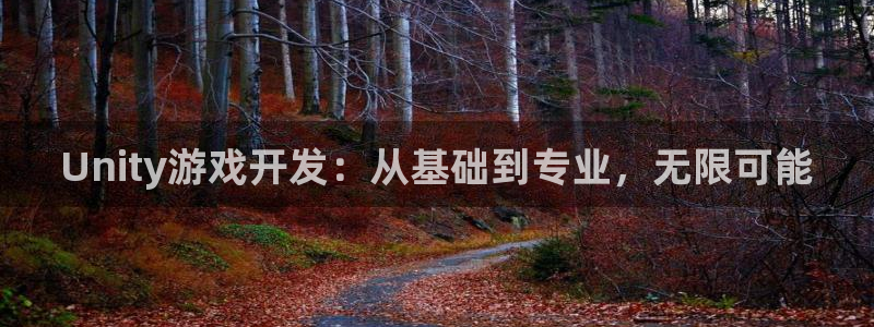 摩根娱乐下载：Unity游戏开发：从基础到专业，无限可能