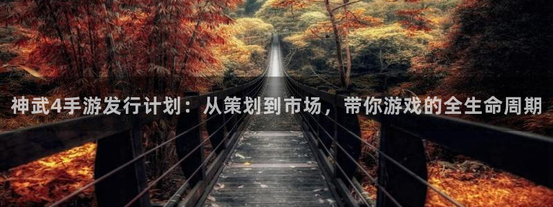摩根娱乐娱乐官网入口下载：神武4手游发行计划：从策划到市场，