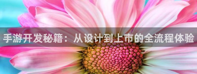 摩根娱乐是正规合法的吗：手游开发秘籍：从设计到上市的全流程体