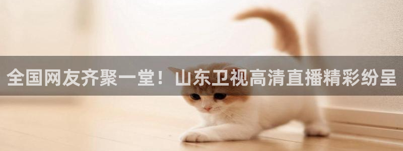 小九足球直播在线观看免费