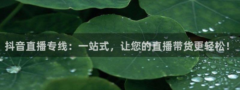jrs小九篮球直播：抖音直播专线：一站式，让您的直播带货更轻松！