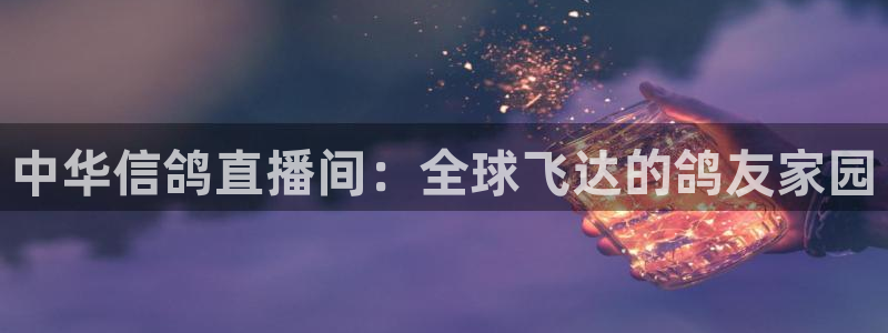 小九直播体育免费直播：中华信鸽直播间：全球飞达的鸽友家园