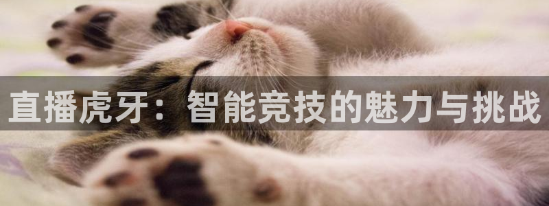 小九是谁：直播虎牙：智能竞技的魅力与挑战