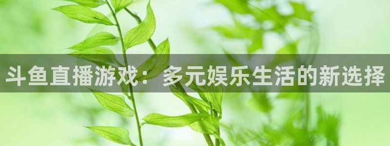 英超直播小九直播