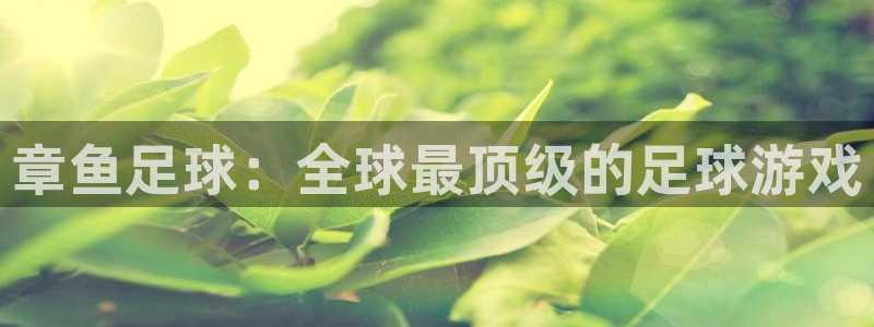 中超小九免费直播：章鱼足球：全球最顶级的足球游戏