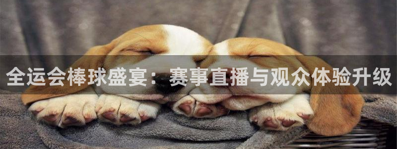 nba小九直播免费观看直播在线：全运会棒球盛宴：赛事直播与观众体验升级
