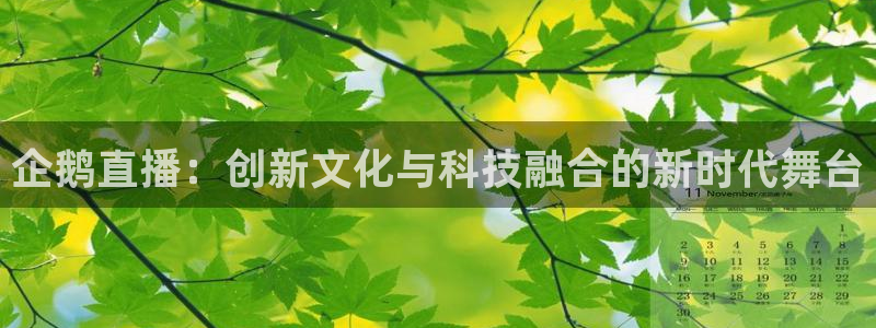 小九直播nba免费观看下载：企鹅直播：创新文化与科技融合的新时代舞台