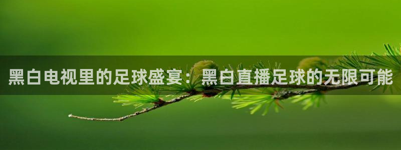 足球免费直播高清直播小九直播：黑白电视里的足球盛宴：黑白直播足球的无限可能