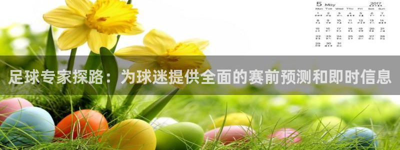 小九nba直播高清免费观看：足球专家探路：为球迷提供全面的赛前预测和即时信息